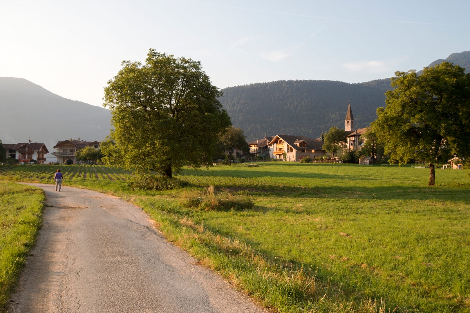 Terrain